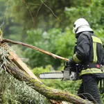 storm damage restoration by a professional